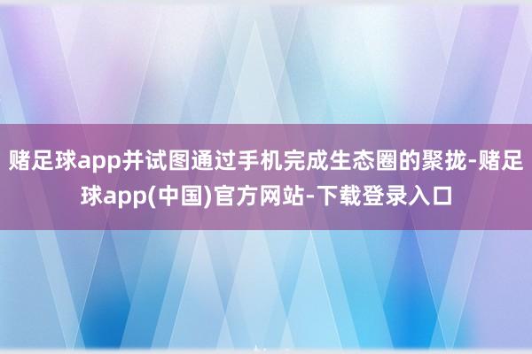 赌足球app并试图通过手机完成生态圈的聚拢-赌足球app(中国)官方网站-下载登录入口